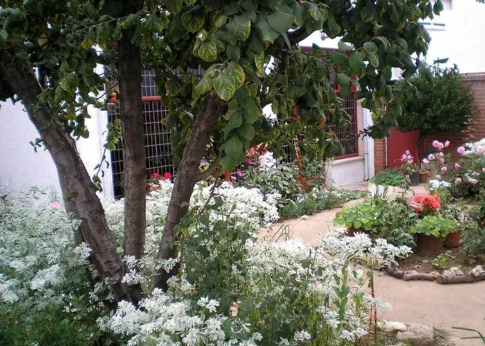 Tierra De Campos 2* 오소르노